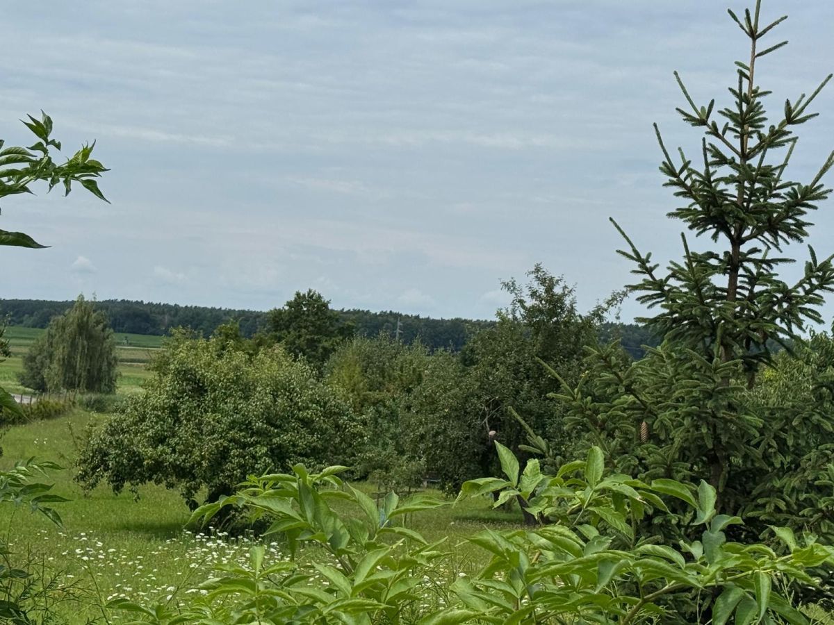 Działka budowlana Góry. Zdjęcie 10