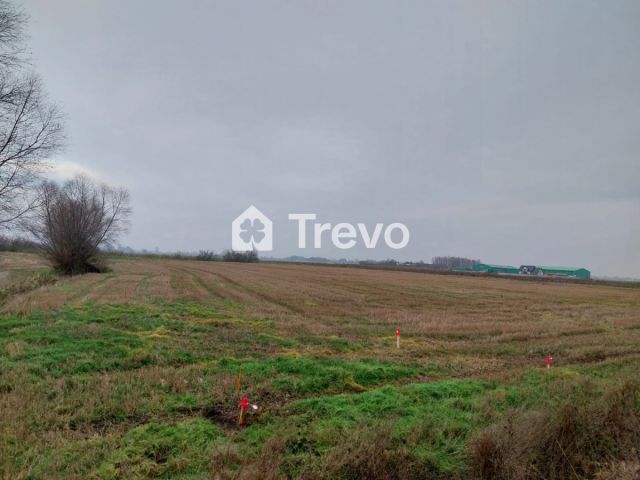 Działka rolna Wocławy, ul. Królowej Bony. Zdjęcie 7