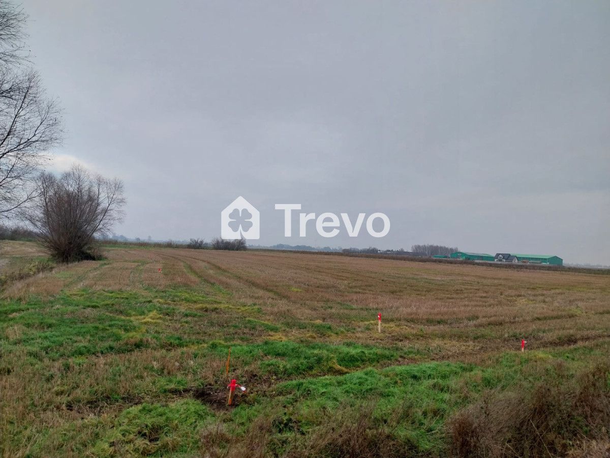 Działka rolna Wocławy, ul. Królowej Bony. Zdjęcie 7