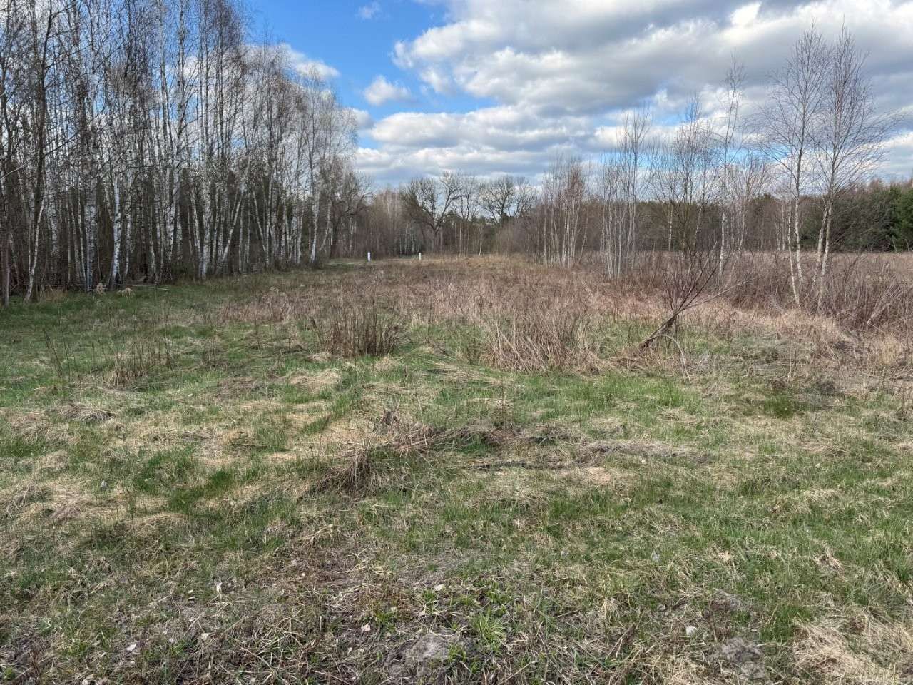 Działka budowlana Młoszów, Młoszów. Zdjęcie 7