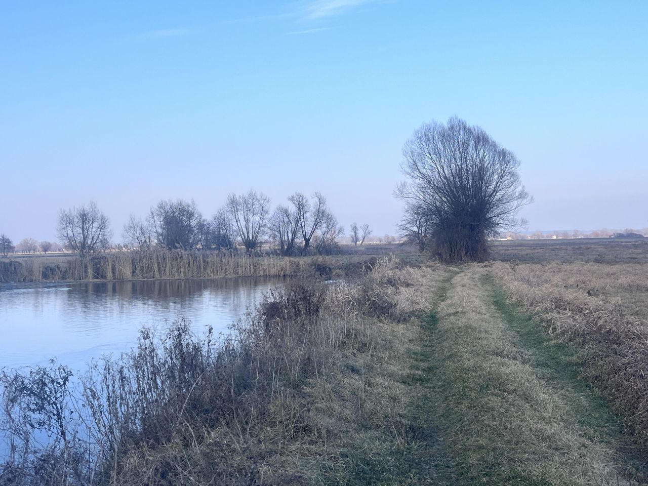 Działka rolna Nowe Wymyśle, Brak. Zdjęcie 13
