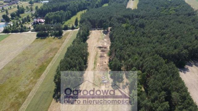 Działka Kupce. Zdjęcie 1