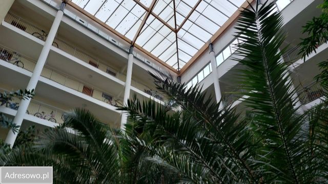 Mieszkanie 3-pokojowe Poznań Stare Miasto, ul. Naramowicka. Zdjęcie 1