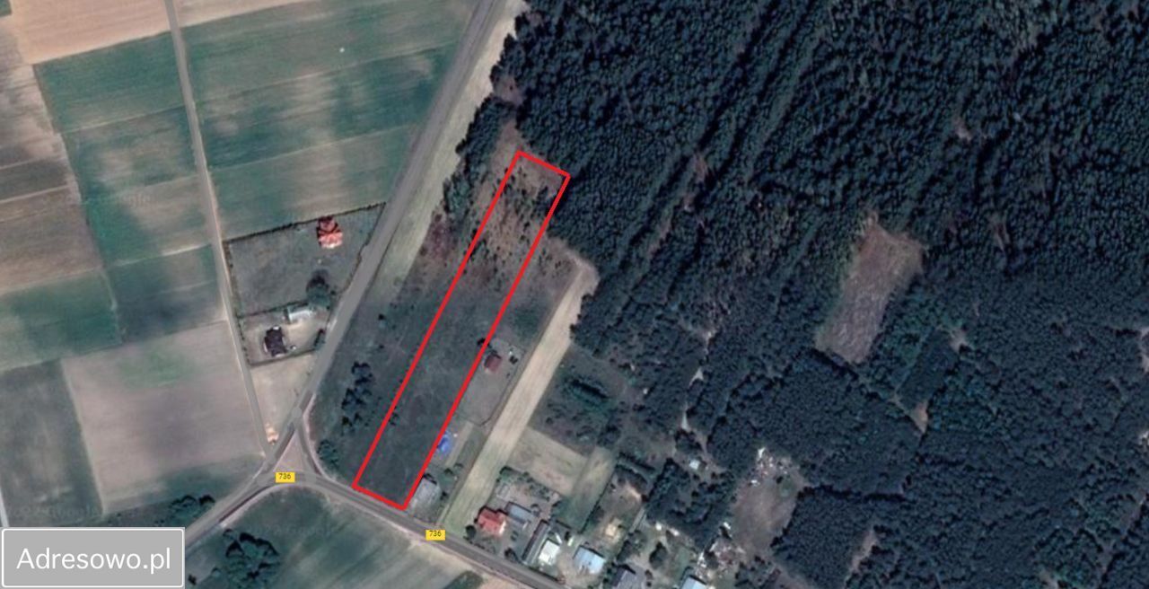 Działka budowlana Anielin Kępa. Zdjęcie 2