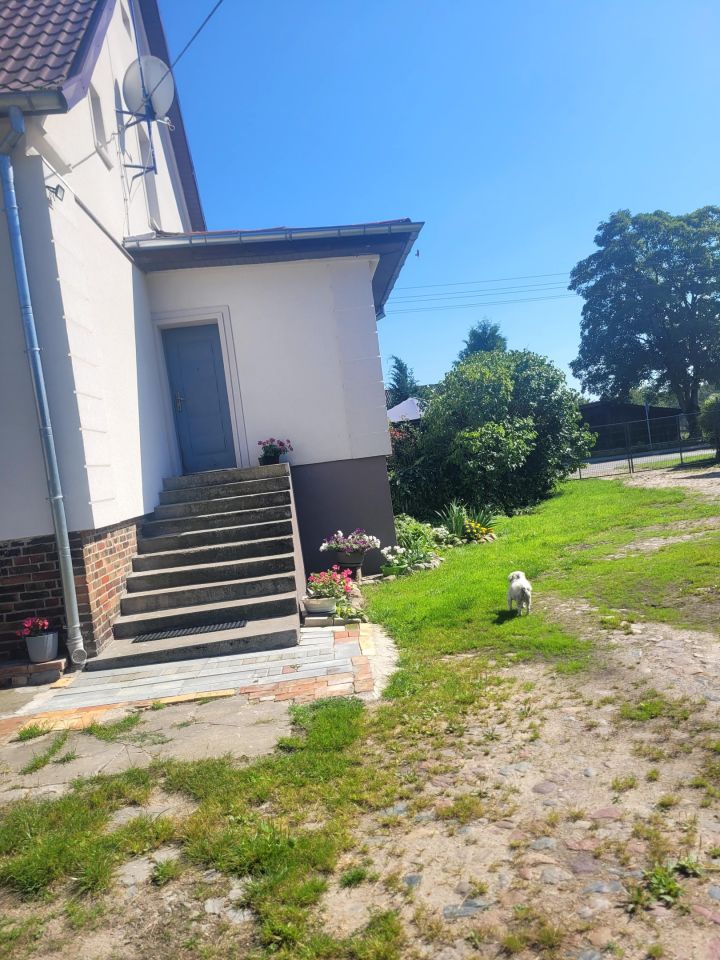 dom wolnostojący, 7 pokoi Trzebawie. Zdjęcie 12