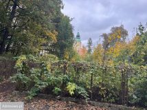 Działka budowlana Jelenia Góra Cieplice Śląskie-Zdrój. Zdjęcie 2