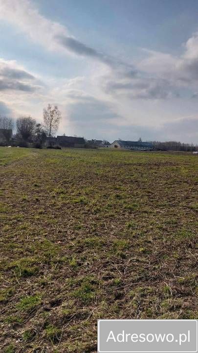 Działka budowlana Kondrajec. Zdjęcie 5