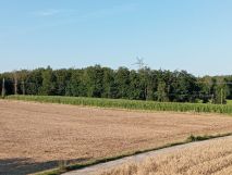 Działka siedliskowa Barłomino, ul. Sampowska. Zdjęcie 3