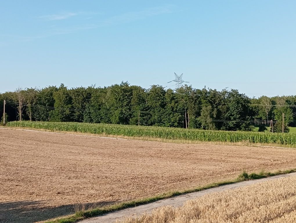 Działka siedliskowa Barłomino, ul. Sampowska. Zdjęcie 4