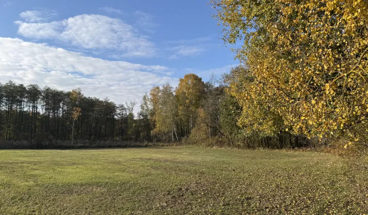Działka budowlana Budy Ciepielińskie