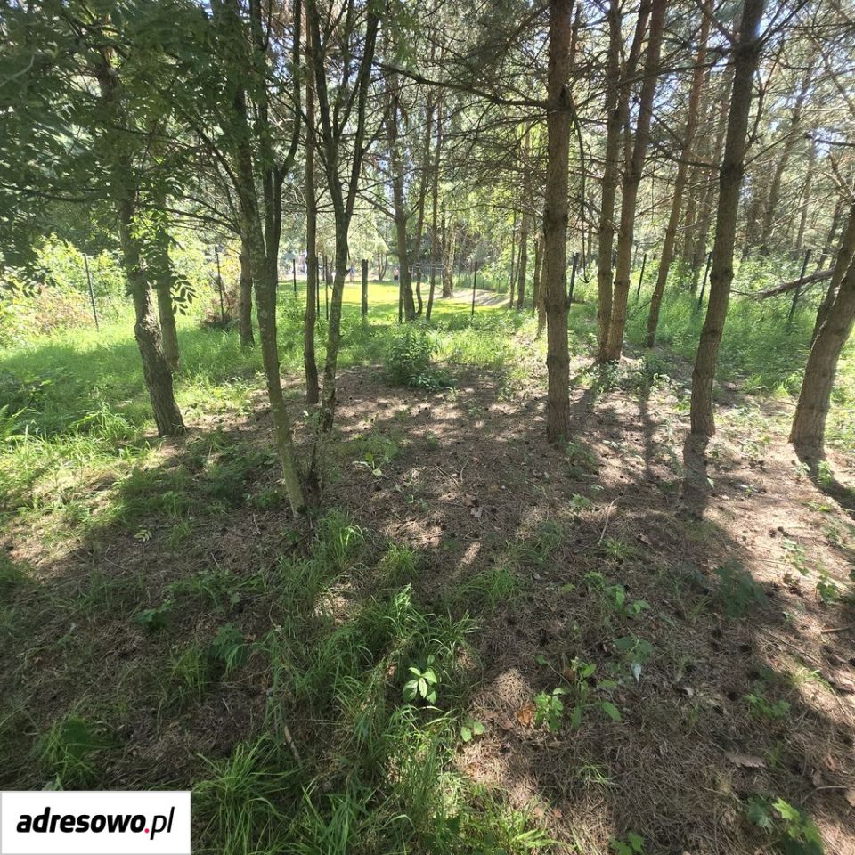 Działka budowlana Jemiołowo. Zdjęcie 6