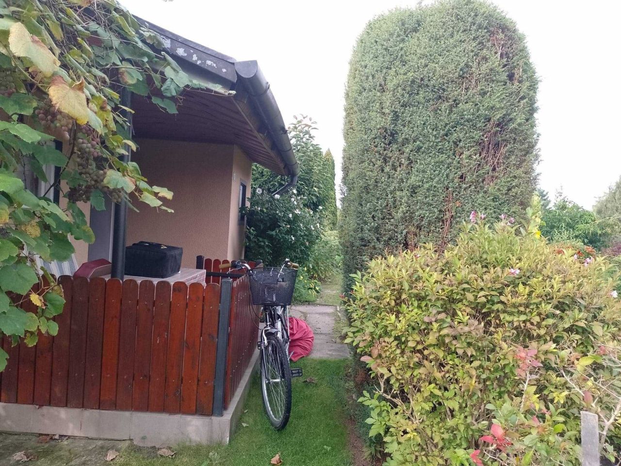 Działka rod Mokra Prawa. Zdjęcie 4