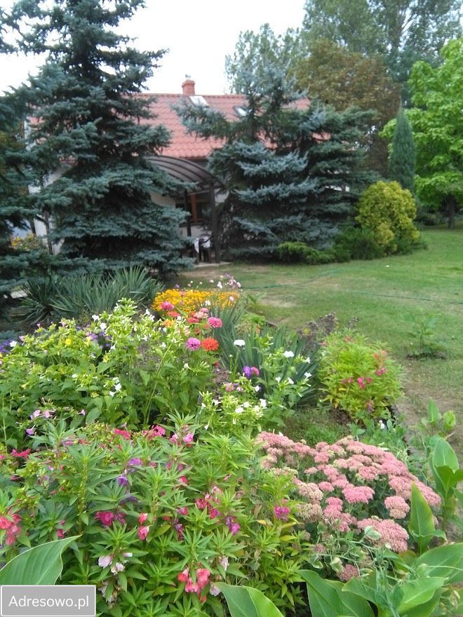 dom wolnostojący, 3 pokoje Tomaszów Mazowiecki, ul. Torowa. Zdjęcie 3