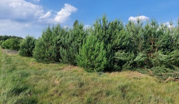 Działka budowlana Glinno kolonia