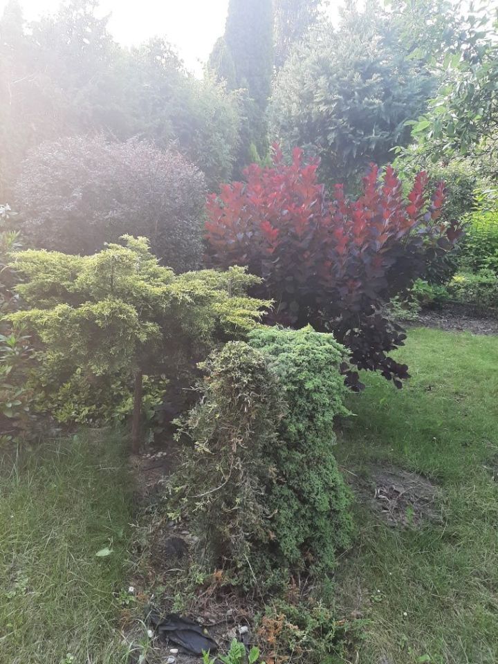 Działka rod Warszawa Mokotów. Zdjęcie 6