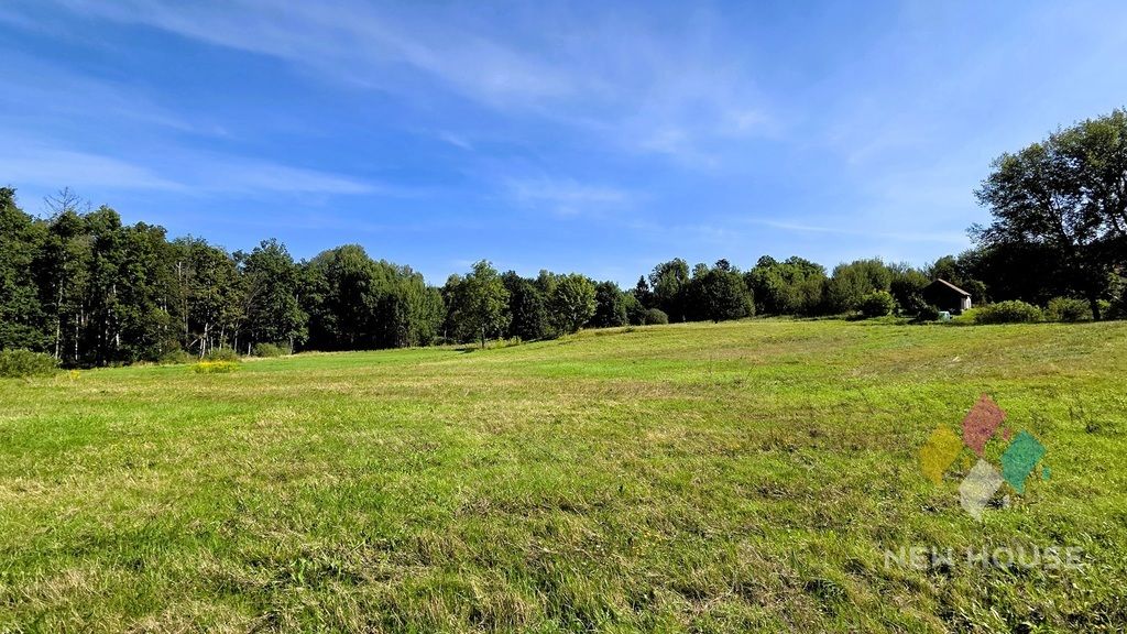 Działka Biskupiec. Zdjęcie 8