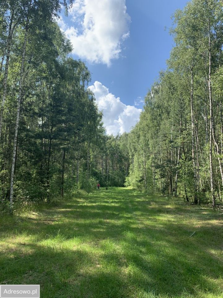 Działka budowlana Skórka. Zdjęcie 7