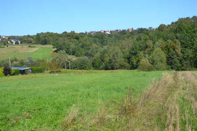 Działka siedliskowa Stanisław Dolny. Zdjęcie 3