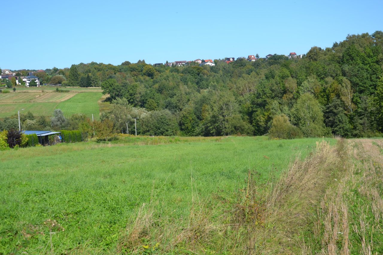 Działka siedliskowa Stanisław Dolny. Zdjęcie 3