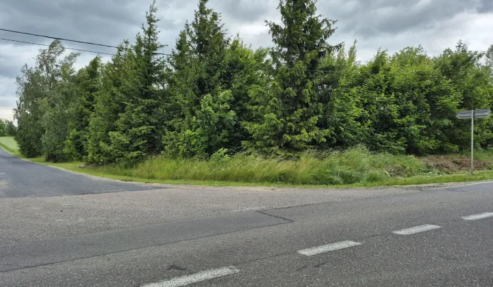 Działka rolna Więckowy