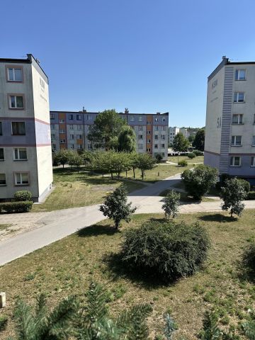 Mieszkanie 3-pokojowe Końskie, ul. Armii Krajowej. Zdjęcie 2