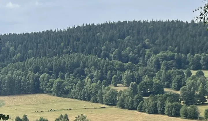 Działka budowlana Stronie Śląskie