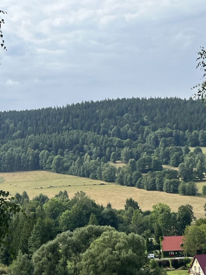 Działka budowlana Stronie Śląskie. Zdjęcie 1