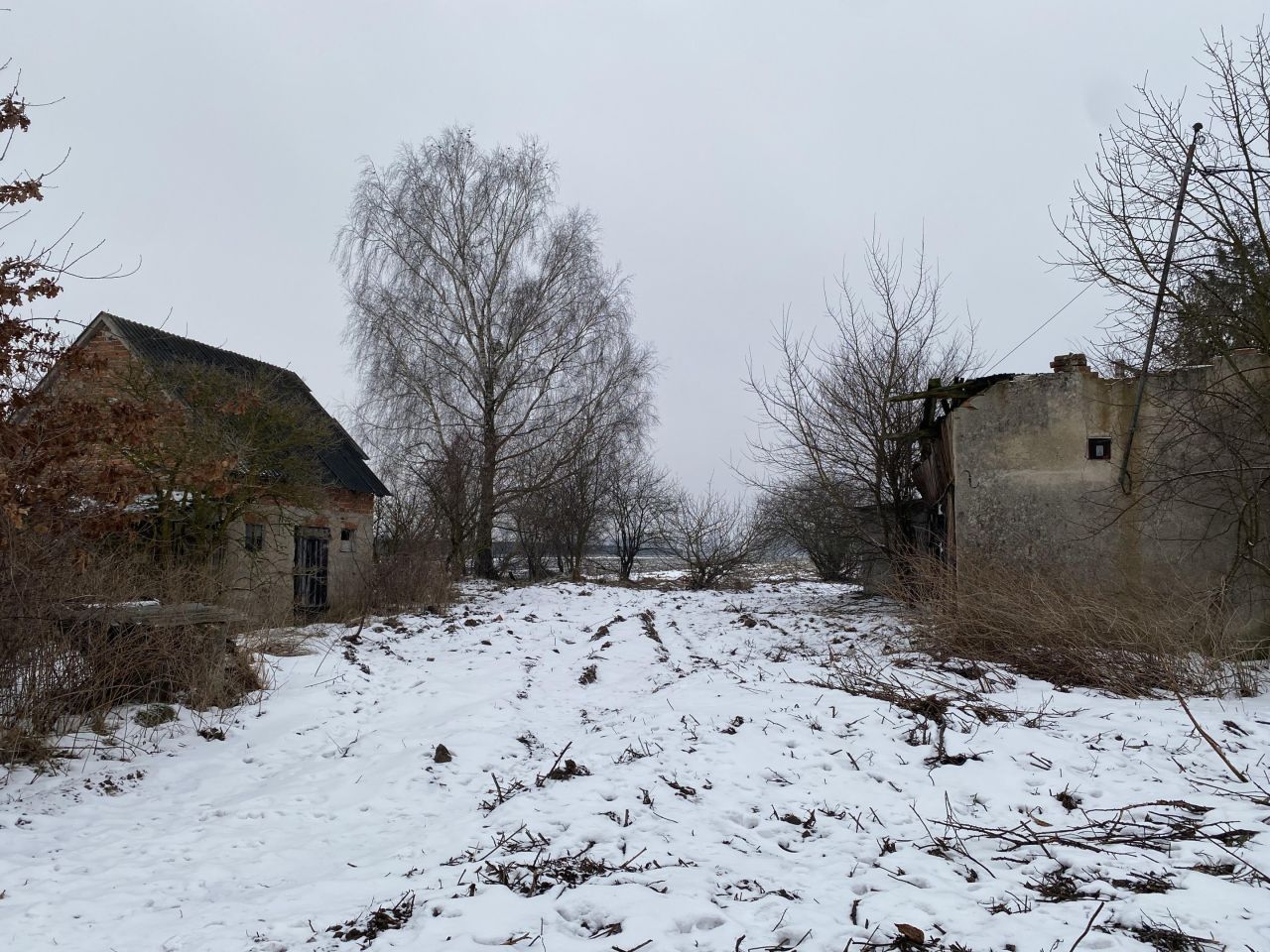 Działka rolno-budowlana Szczawin Borowy-Wieś. Zdjęcie 16
