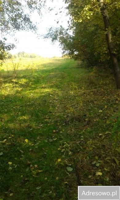 Działka Zagórzany. Zdjęcie 7