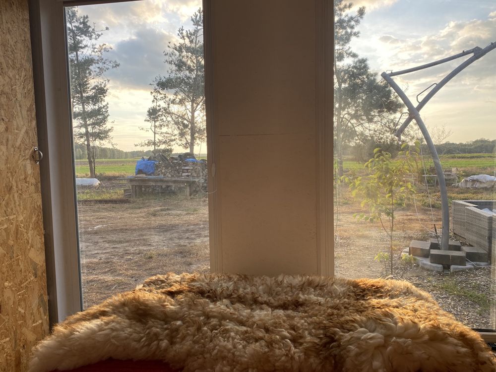 dom wolnostojący Jesionna. Zdjęcie 7