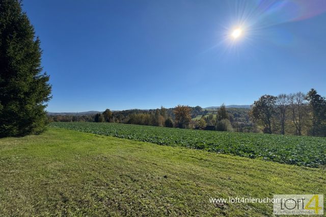 Działka budowlana Tuchów, ul. Ryglicka. Zdjęcie 11