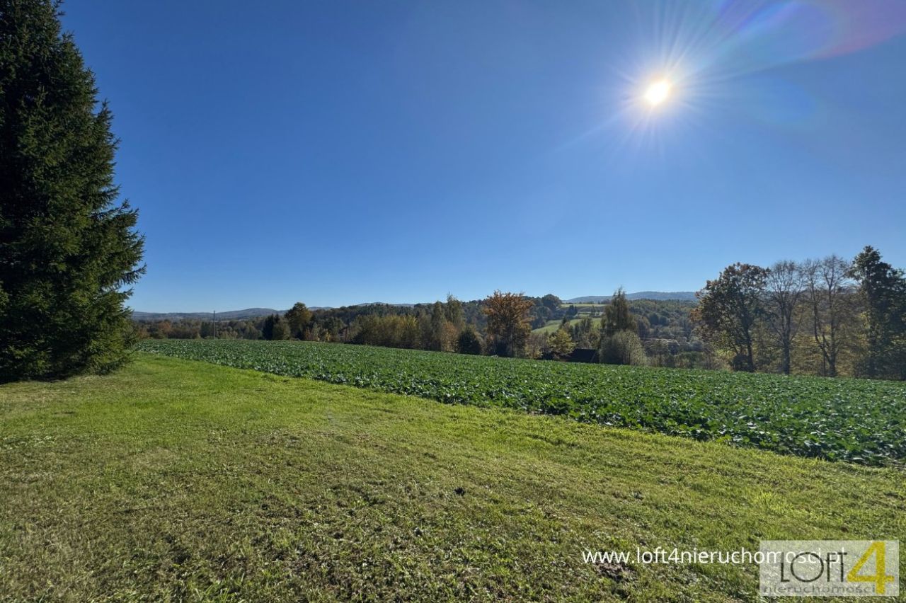 Działka budowlana Tuchów, ul. Ryglicka. Zdjęcie 11
