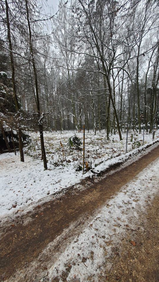 Działka budowlana Zofiówka, ul. Cienista. Zdjęcie 7