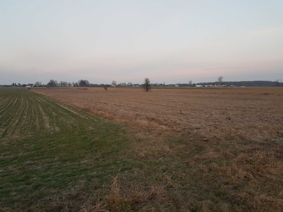 Działka budowlana Guzów. Zdjęcie 5