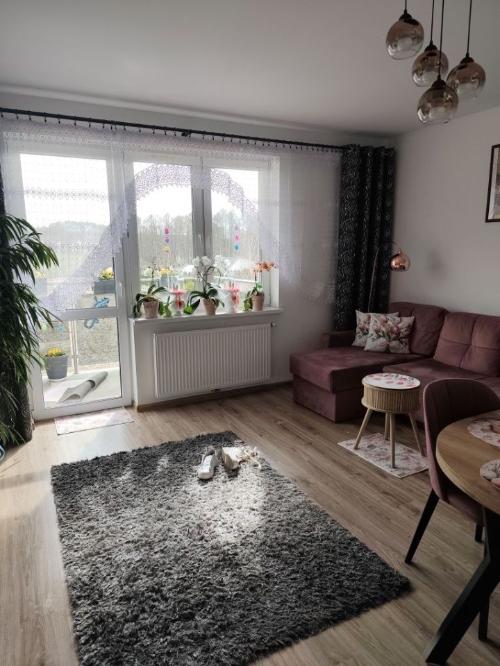 Mieszkanie 2-pokojowe Mszanowo. Zdjęcie 1