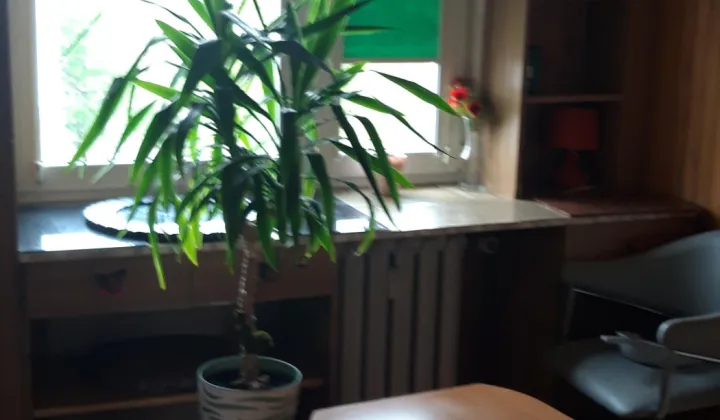 Mieszkanie 2-pokojowe Augustów, ul. Norwida