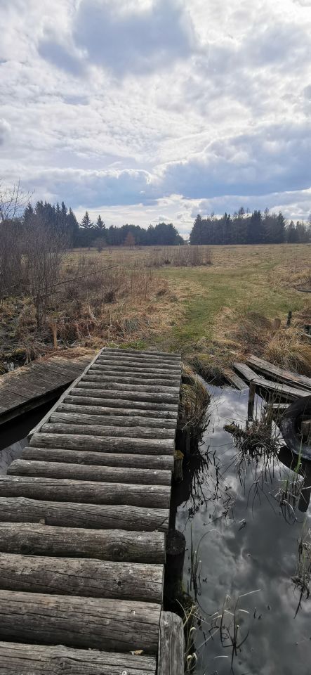 Działka budowlana Rekownica. Zdjęcie 14