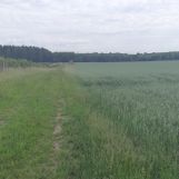 Działka rolna Białężyn. Zdjęcie 1