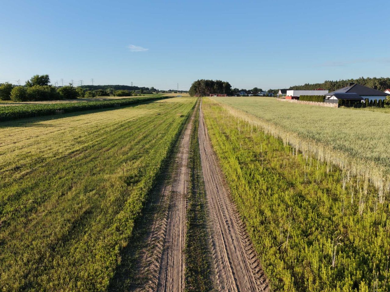 Działka budowlana Smardów. Zdjęcie 6