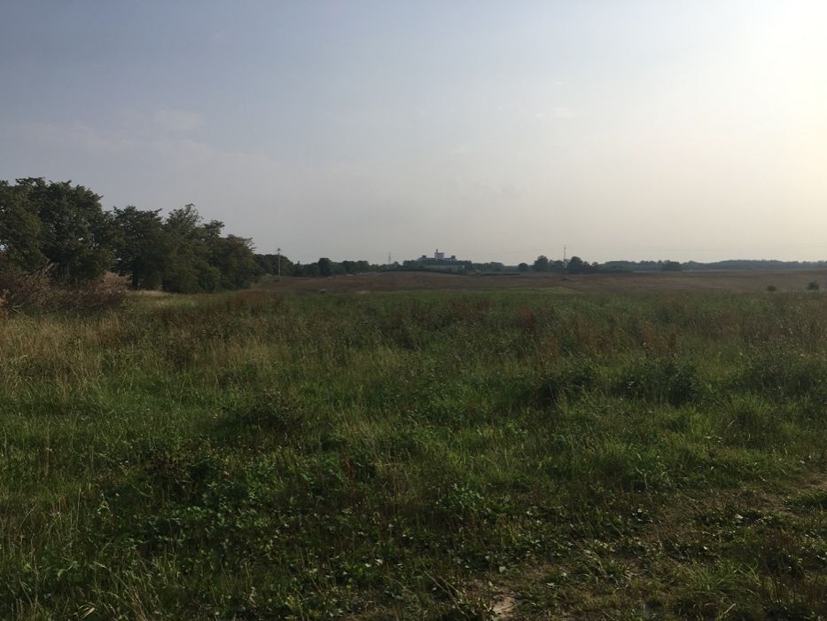 Działka budowlana Dobre. Zdjęcie 5