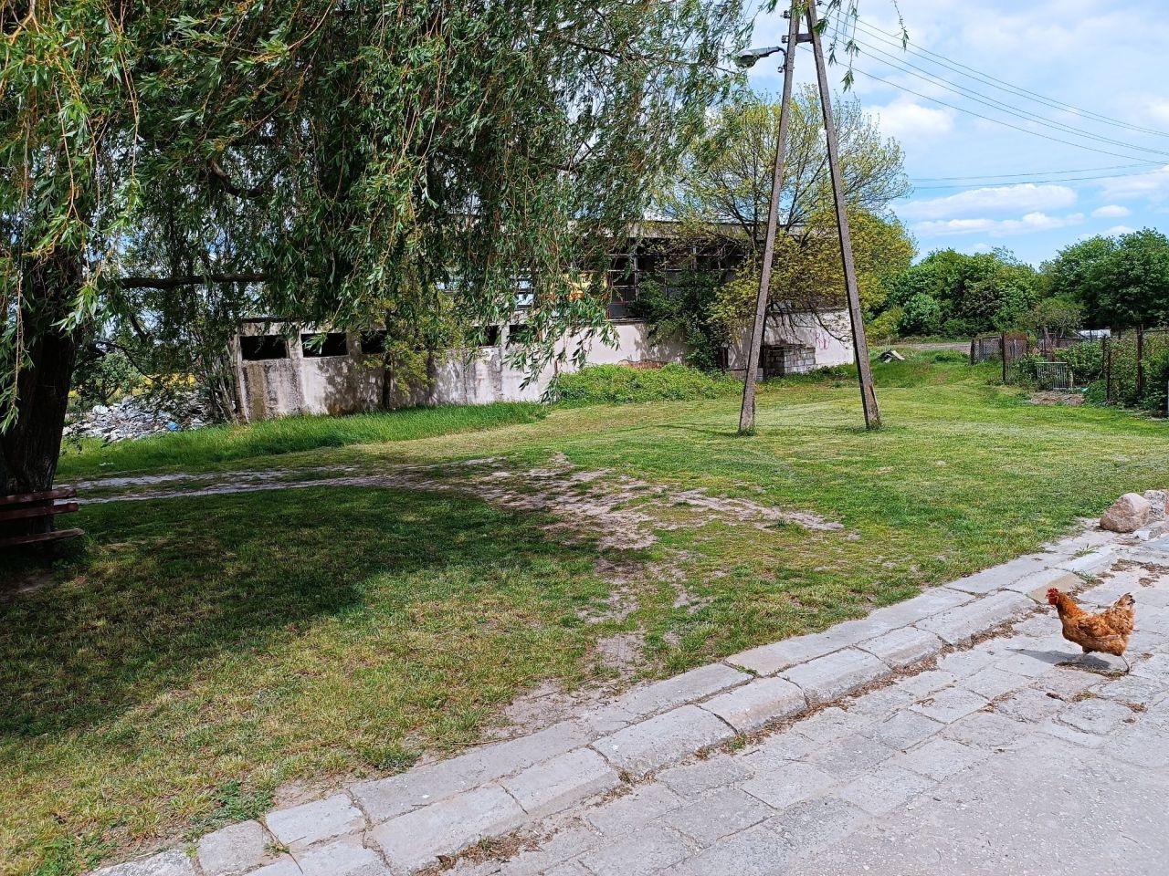 Działka inwestycyjna Bogusławice. Zdjęcie 3