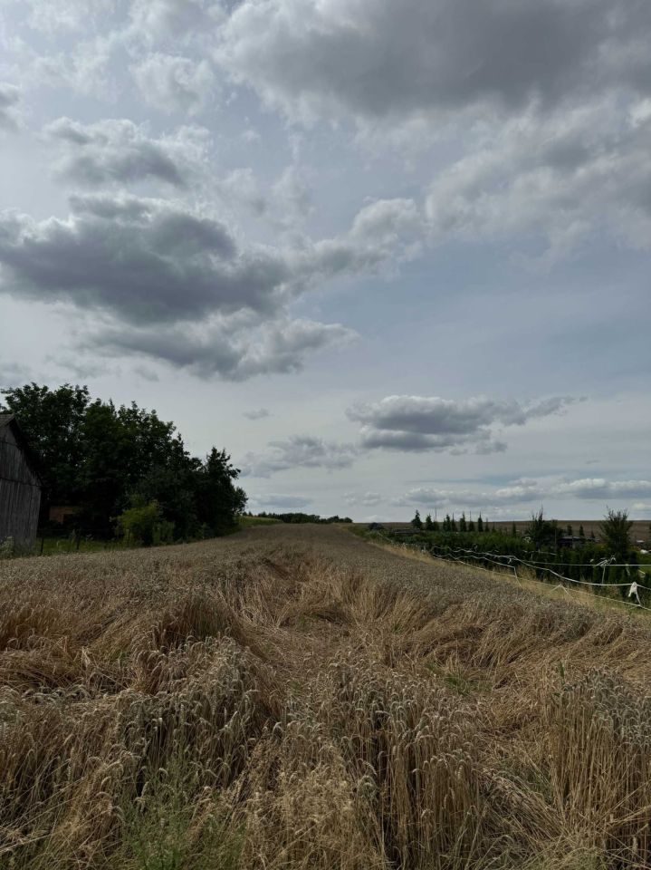 Działka budowlana Wola Więcławska. Zdjęcie 2