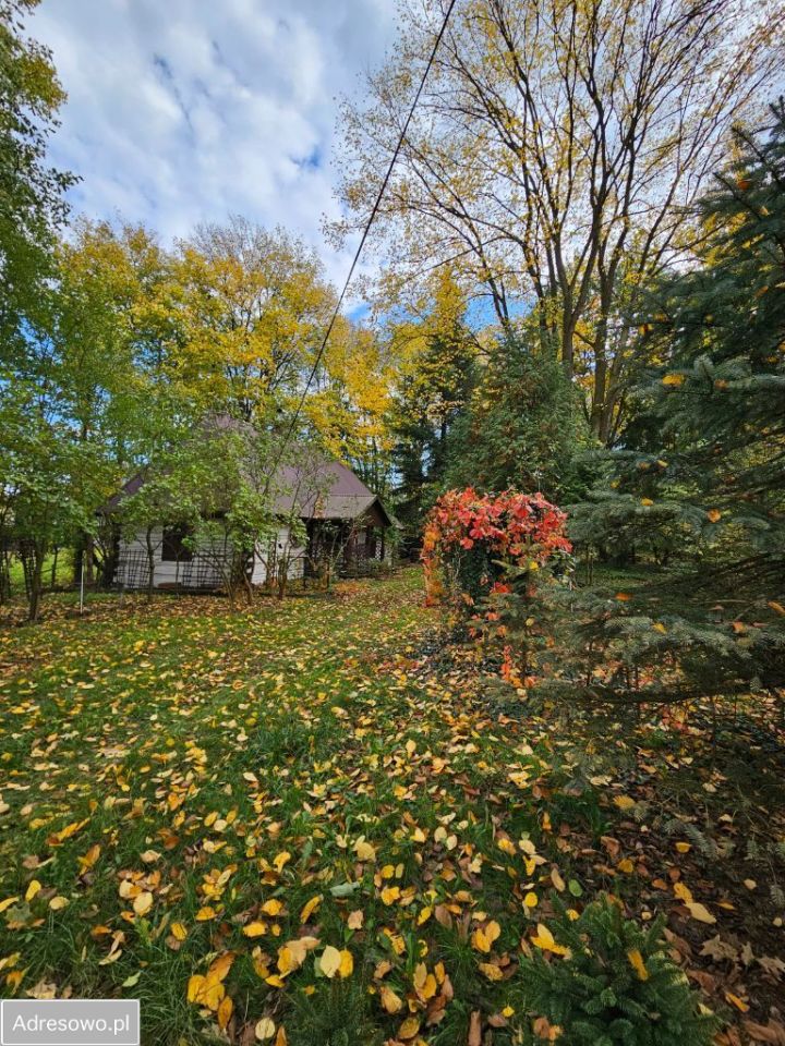 dom wolnostojący, 2 pokoje Trzeboś. Zdjęcie 9