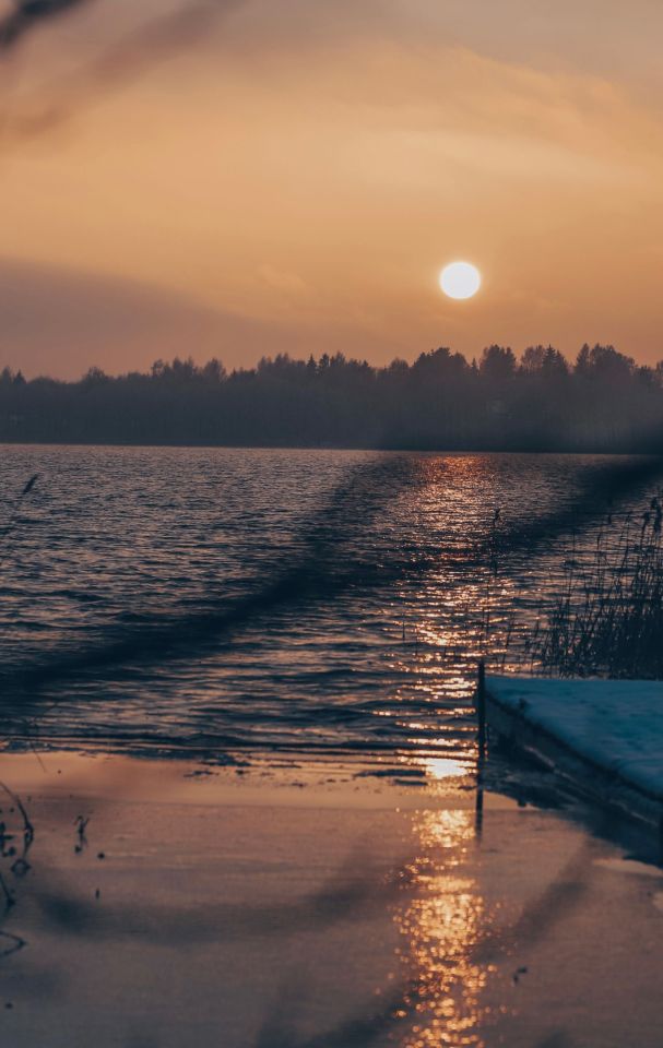 Działka leśna Elganowo. Zdjęcie 5