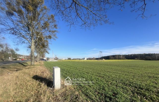 Działka inwestycyjna Bolechowo. Zdjęcie 5