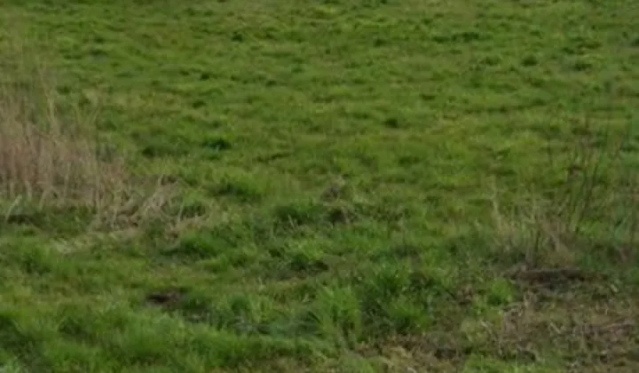 Działka budowlana Czarże