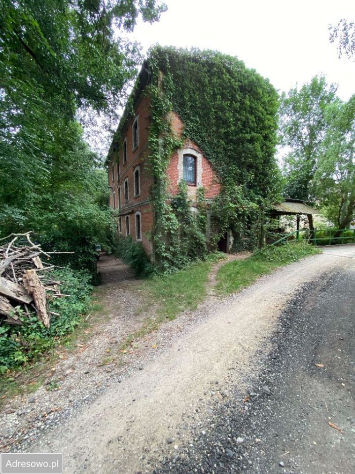 Nieruchomość komercyjna Słonów. Zdjęcie 4