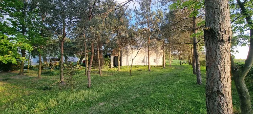 dom wolnostojący, 4 pokoje Broniszewice. Zdjęcie 4