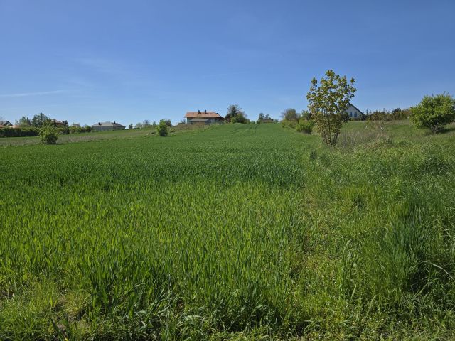 Działka budowlana Różyny. Zdjęcie 1