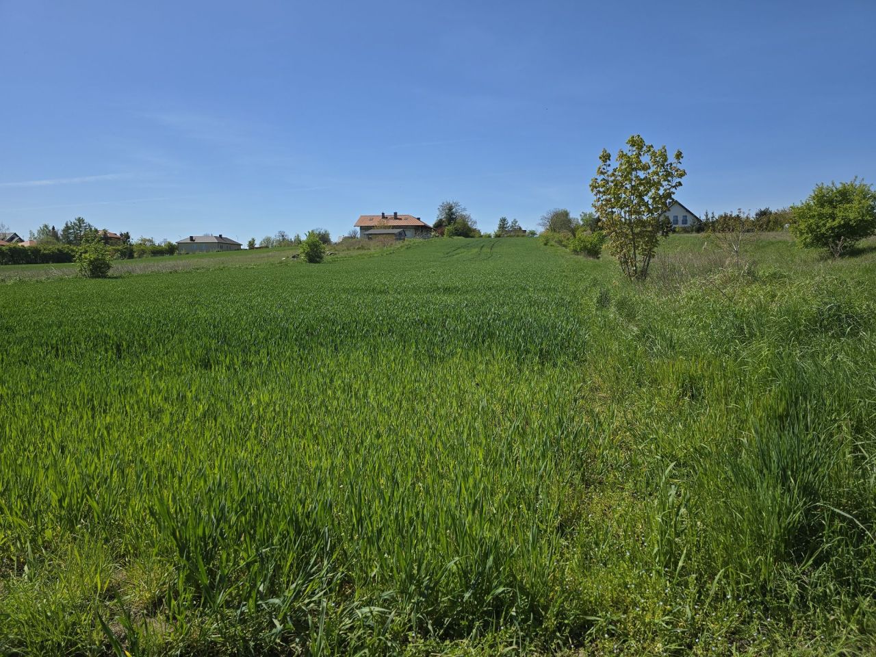 Działka budowlana Różyny